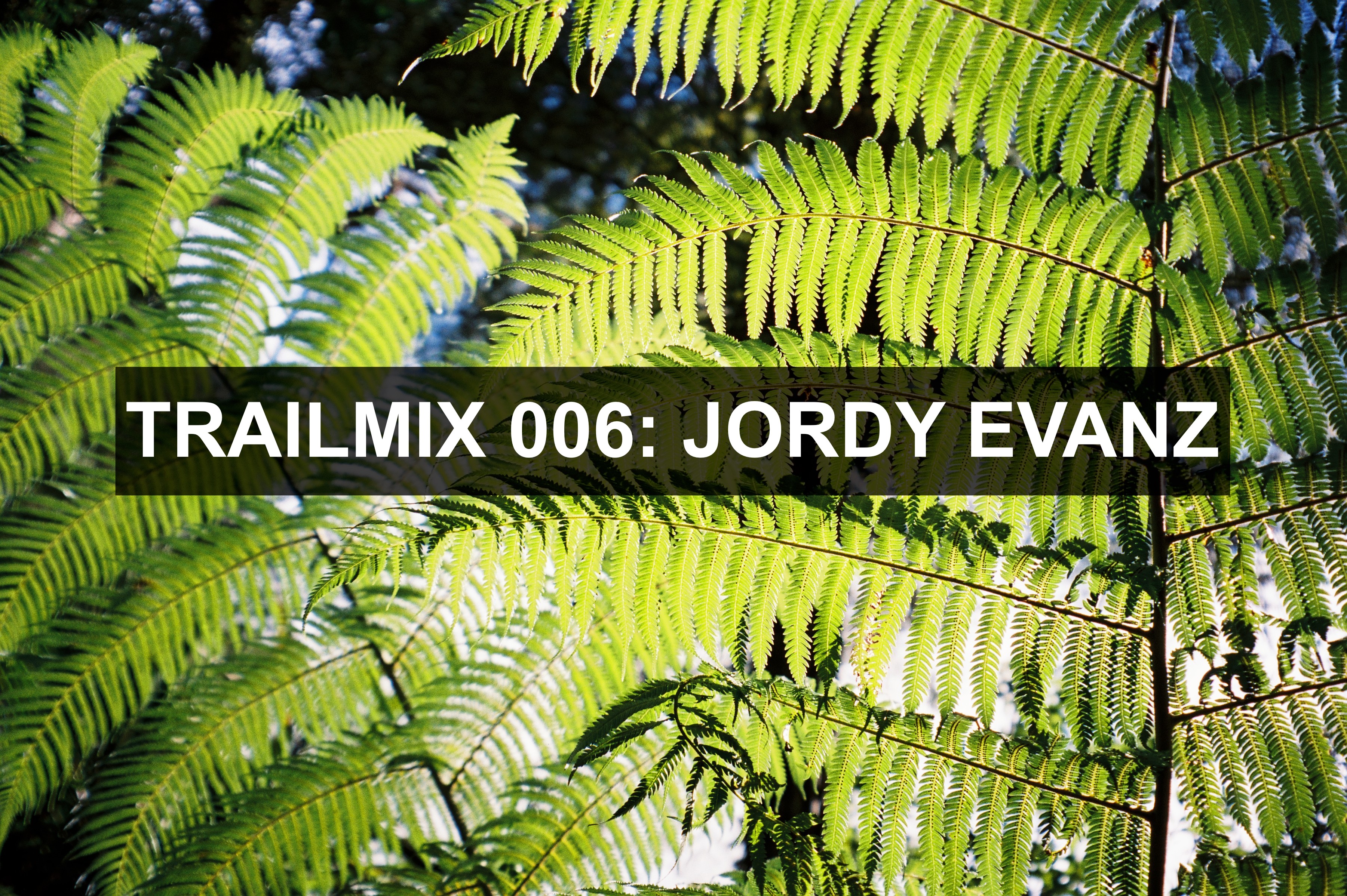 TRAILMIX 006: JORDY EVANZ